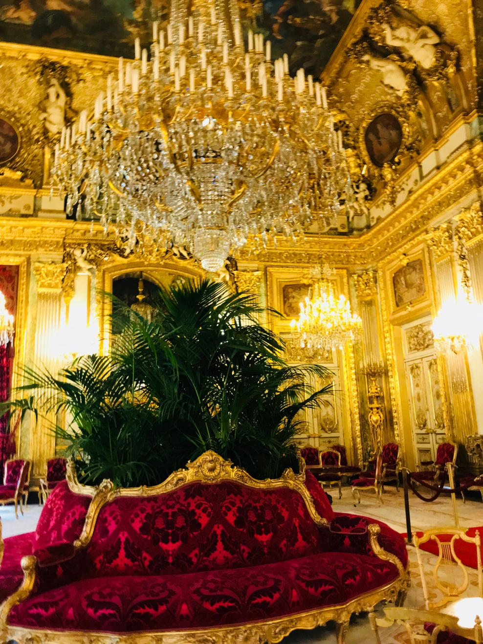 paris pic